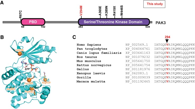 FIG. 2.