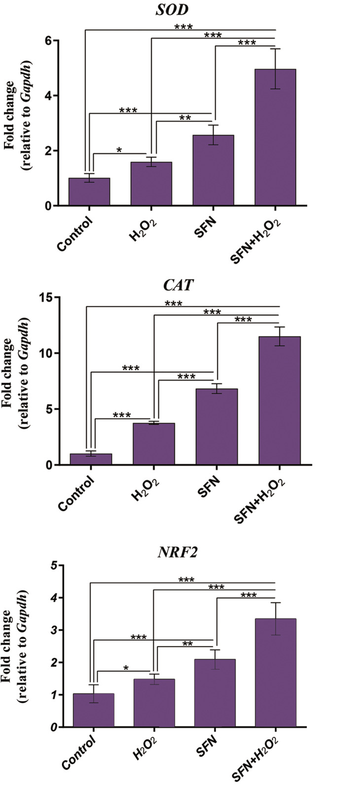 Fig.4