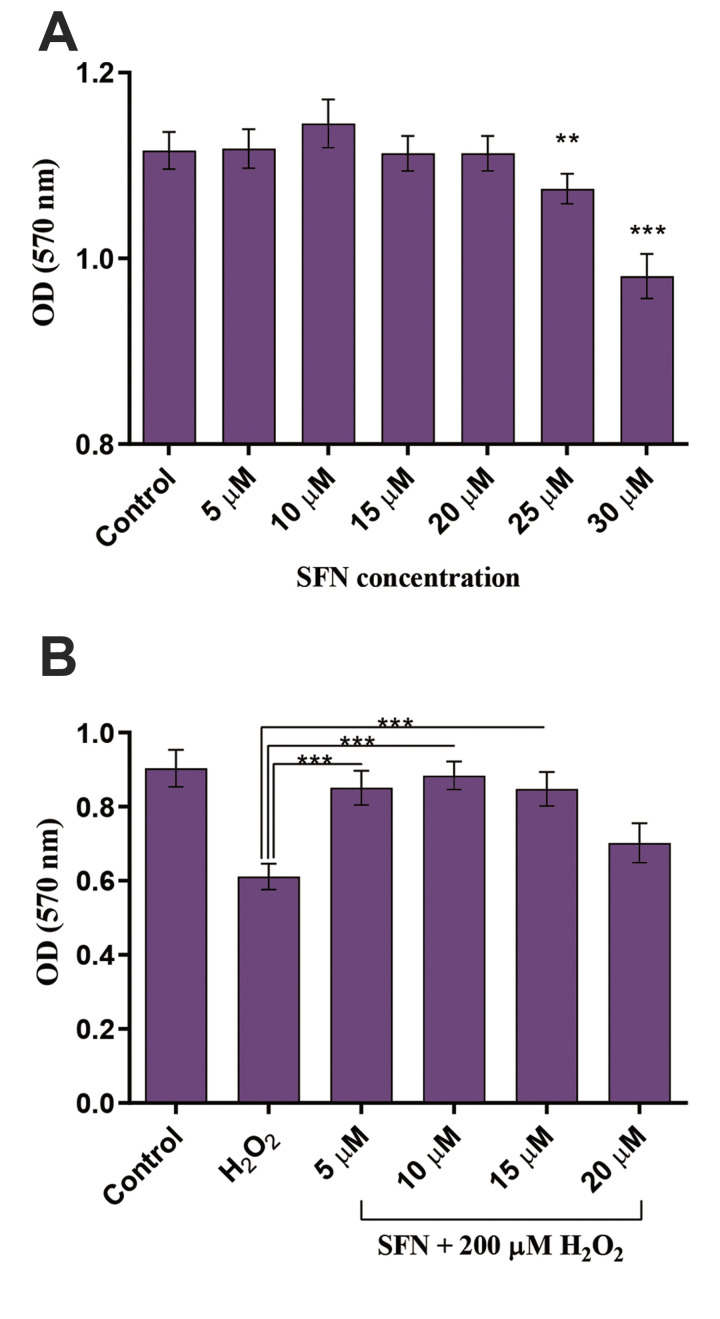 Fig.1