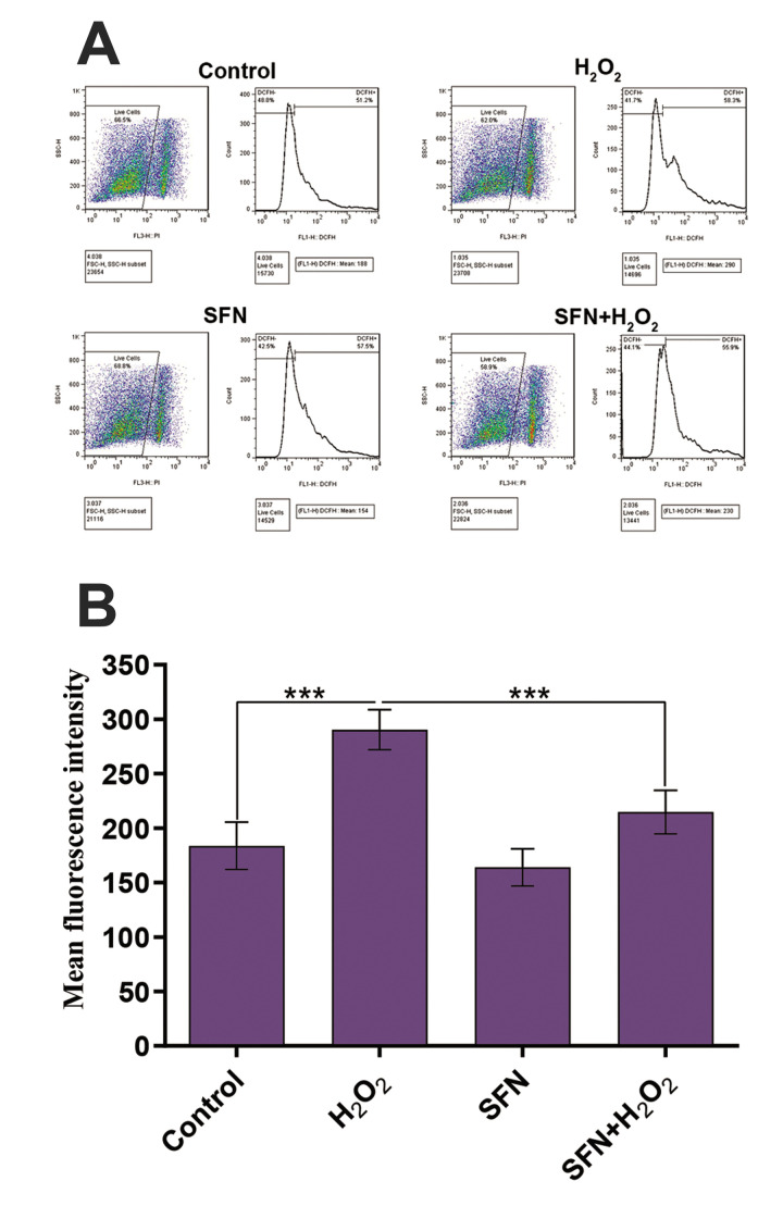 Fig.2