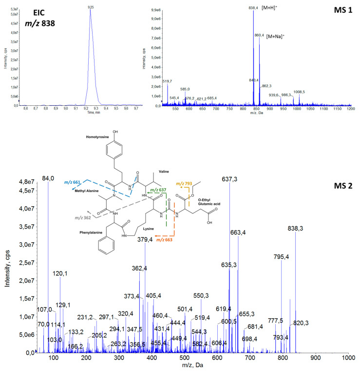 Figure 2