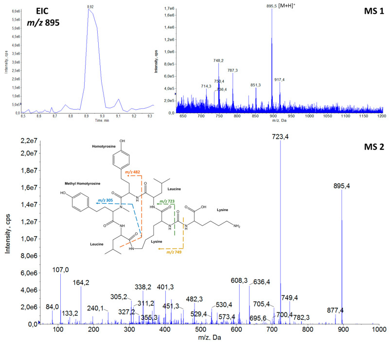 Figure 4