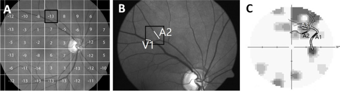 Fig. 2