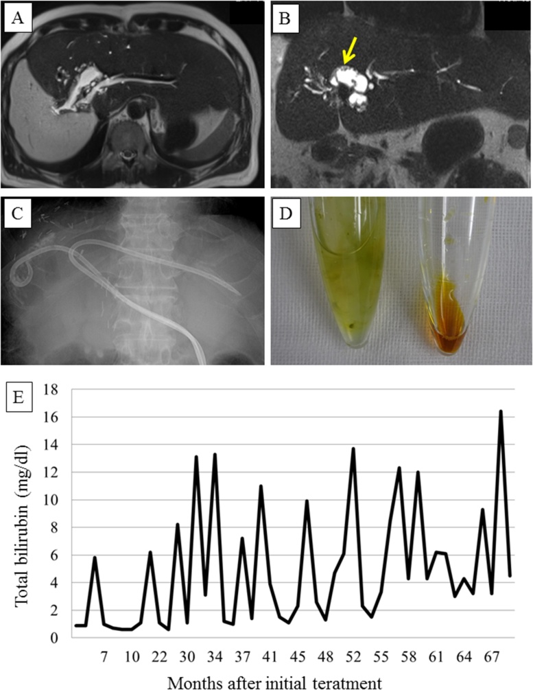 Fig. 4