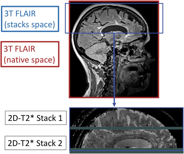 Fig 1.