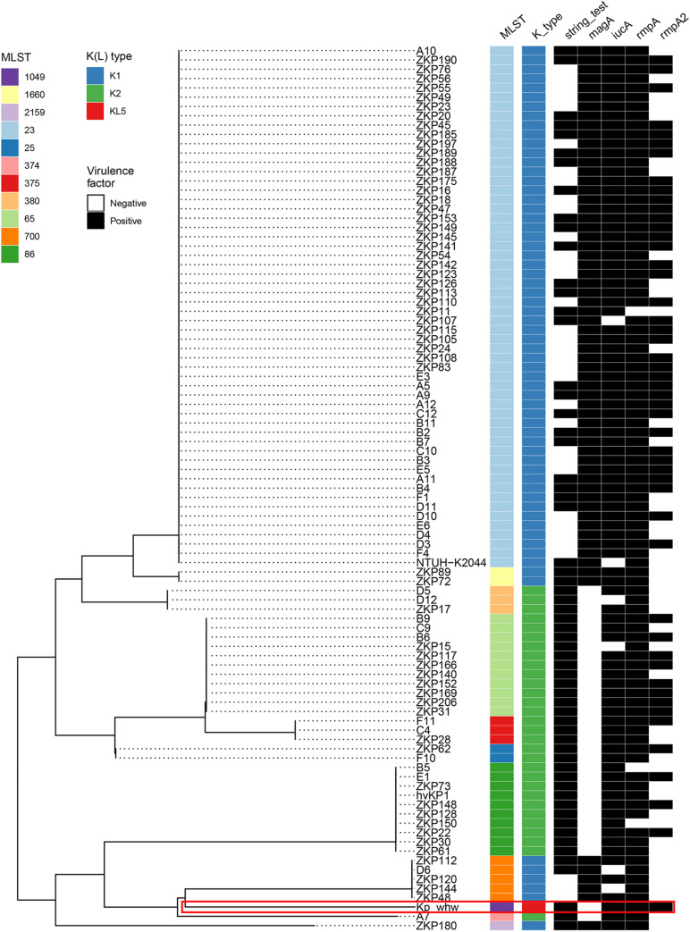 FIGURE 4