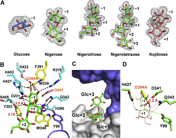 Figure 6