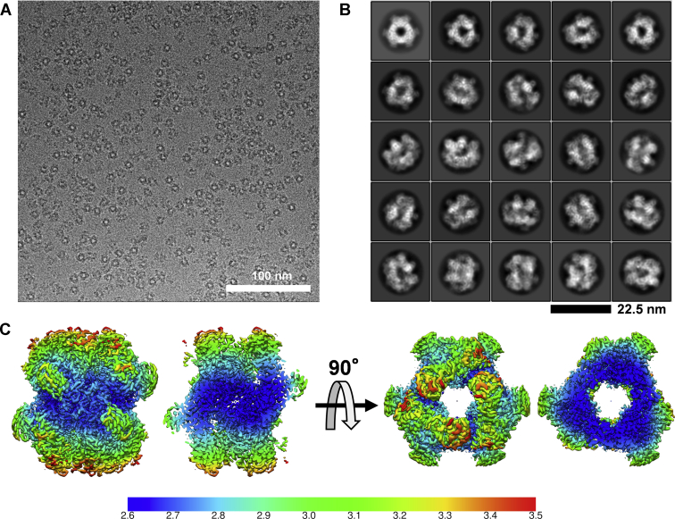 Figure 4