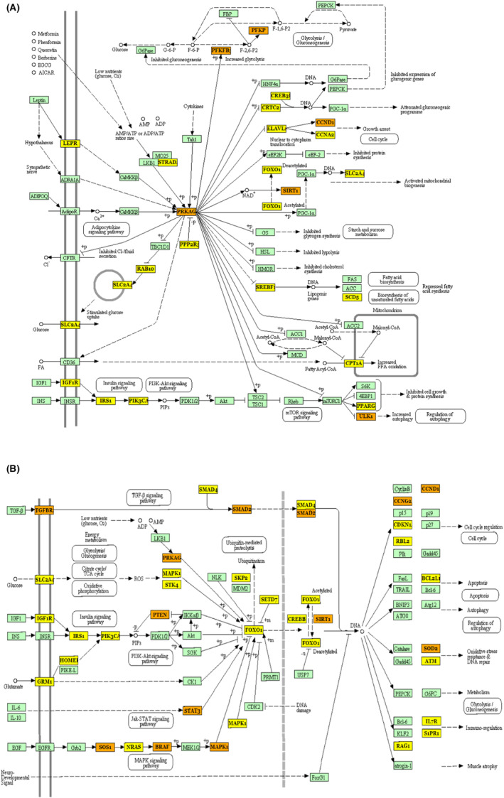 FIGURE 3