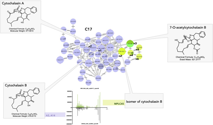 Figure 10