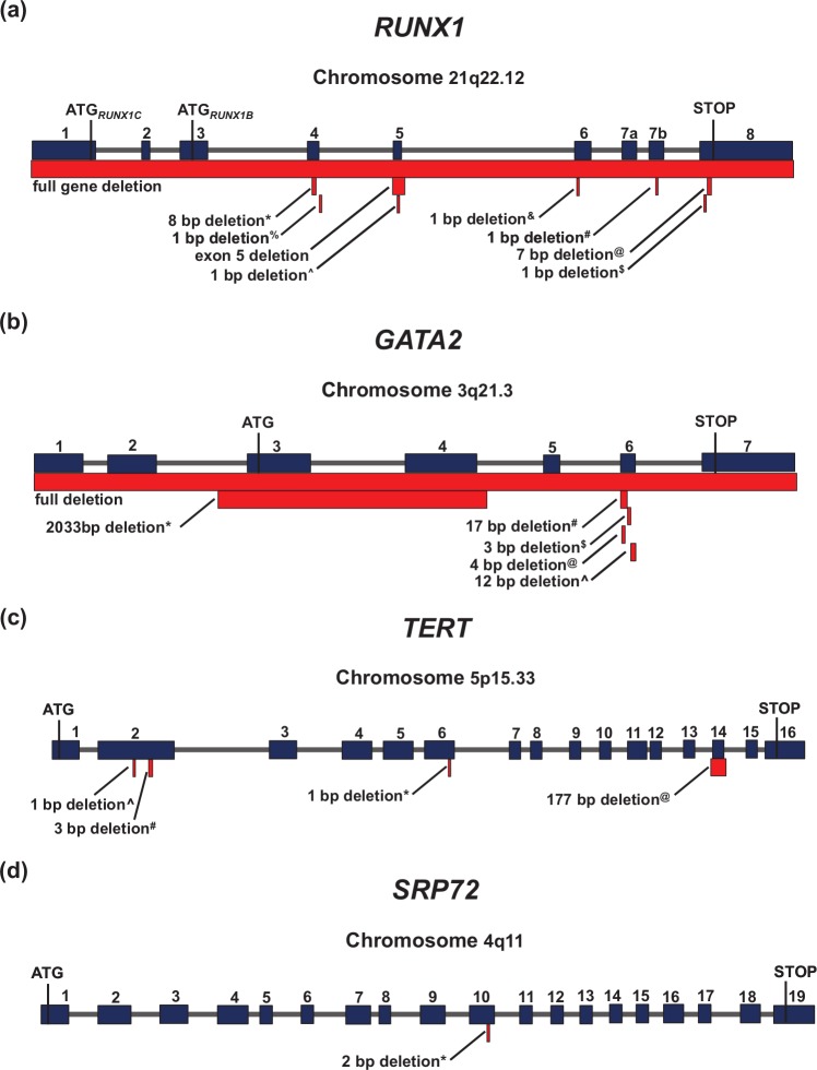 Figure 2.