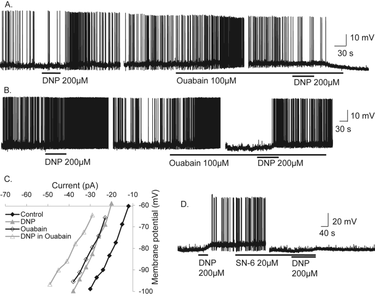 Figure 4