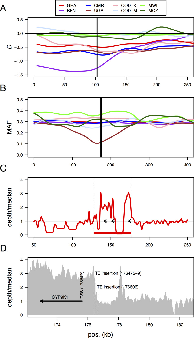 Fig 6