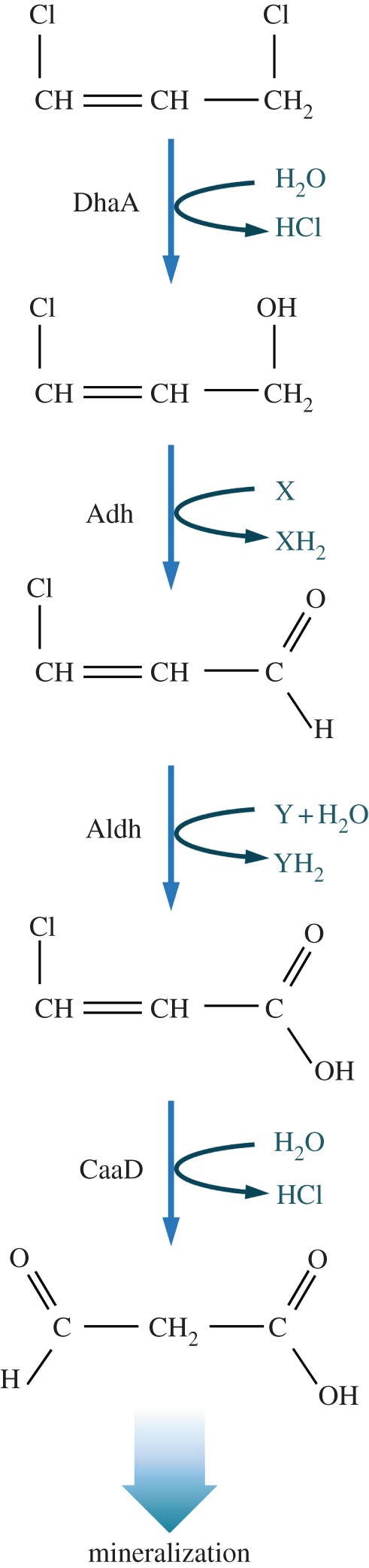 Figure 1.