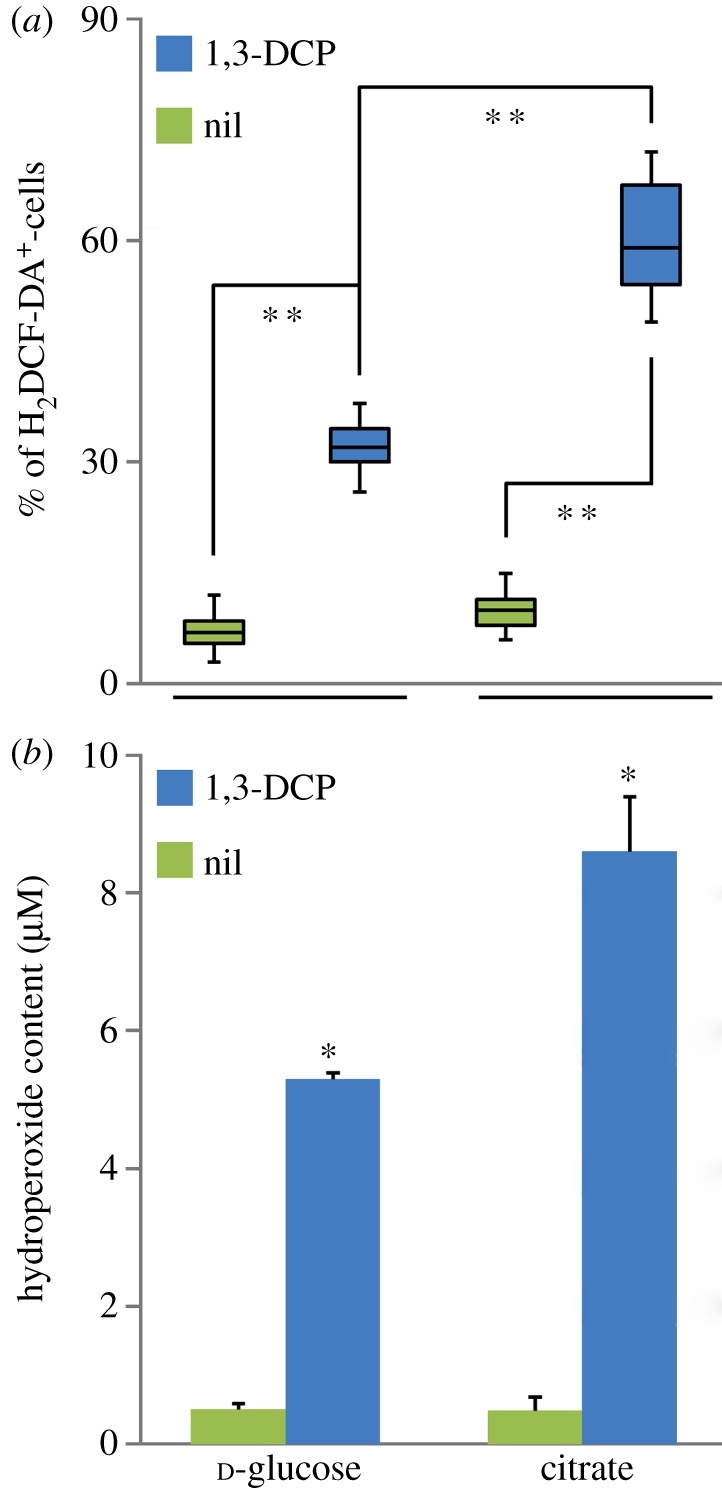 Figure 4.