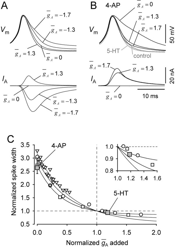 Figure 9.