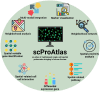 Graphical Abstract