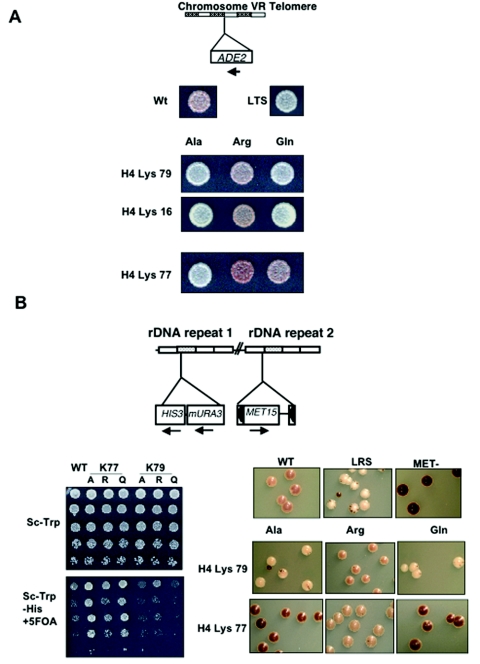 FIG. 3.