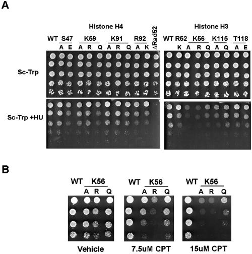 FIG. 6.