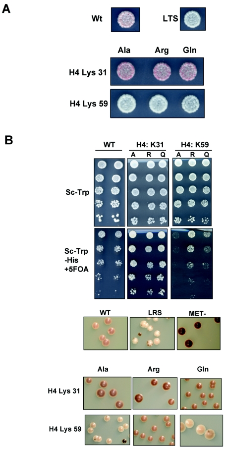 FIG. 4.