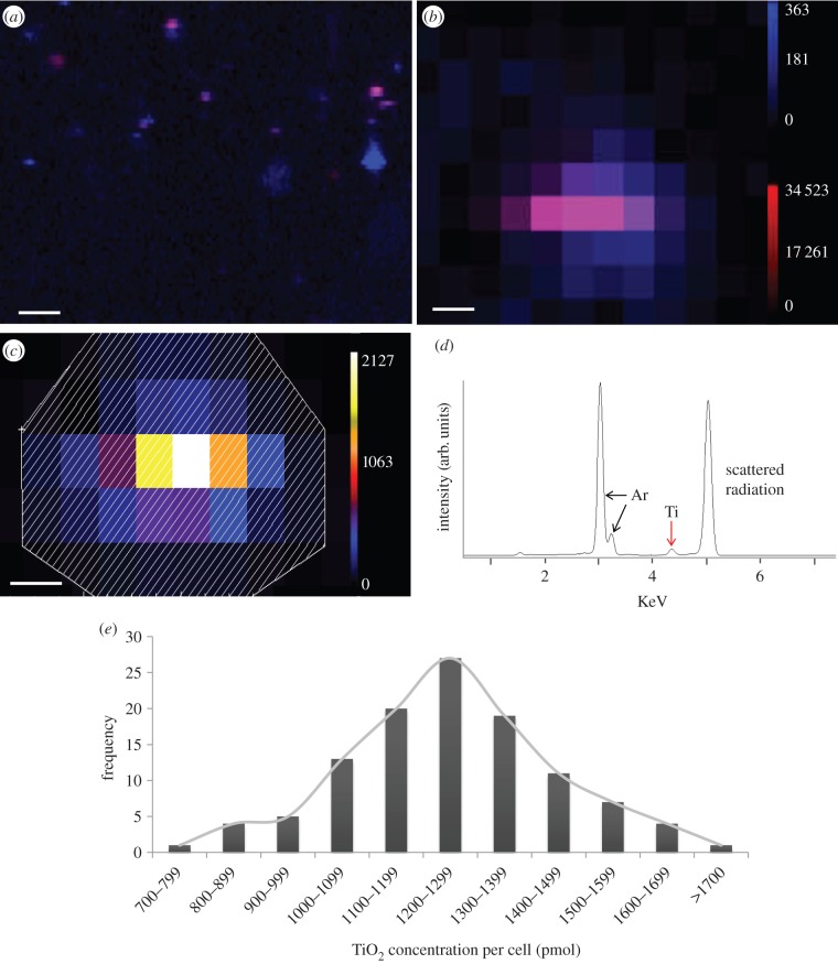 Figure 2.