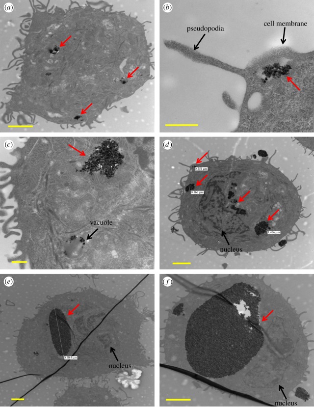 Figure 1.