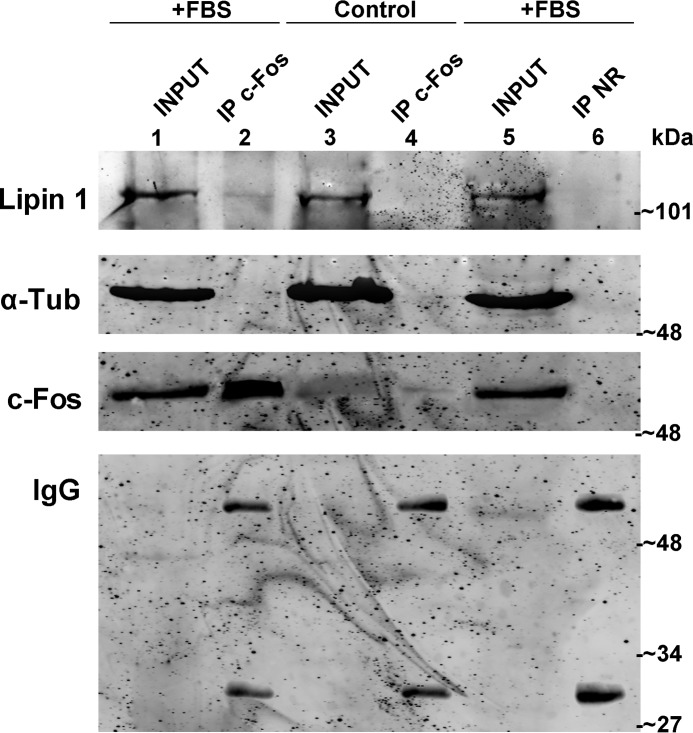 FIGURE 7.