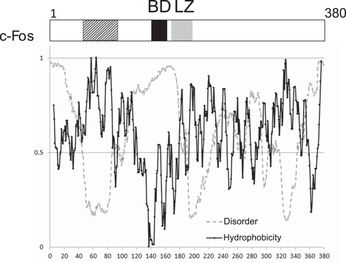 FIGURE 12.