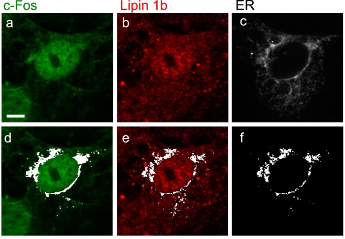 FIGURE 6.