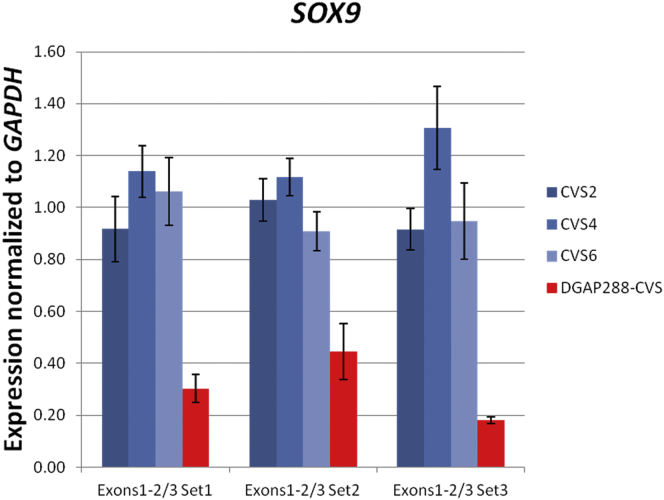 Figure 5