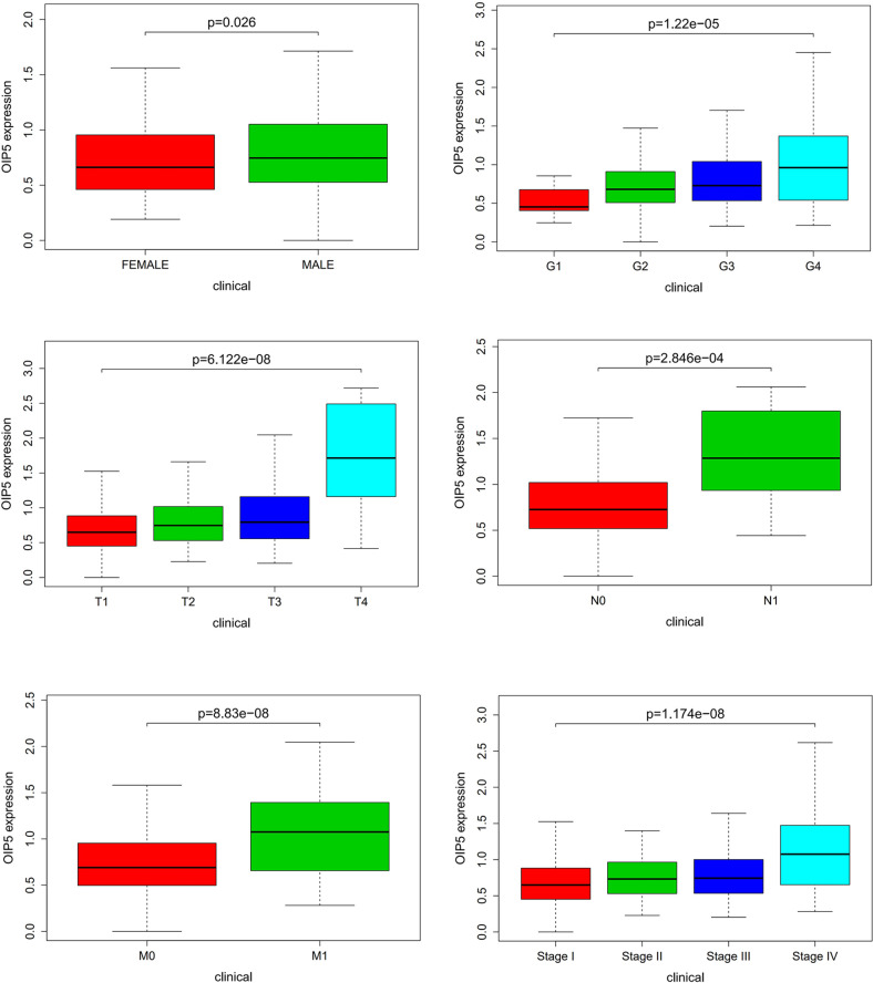 Figure 3