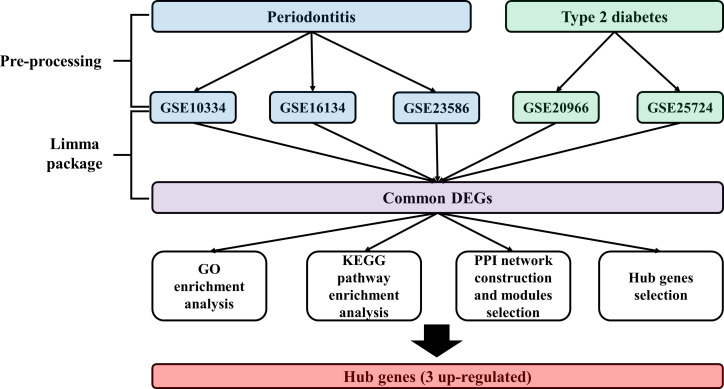 Figure 1