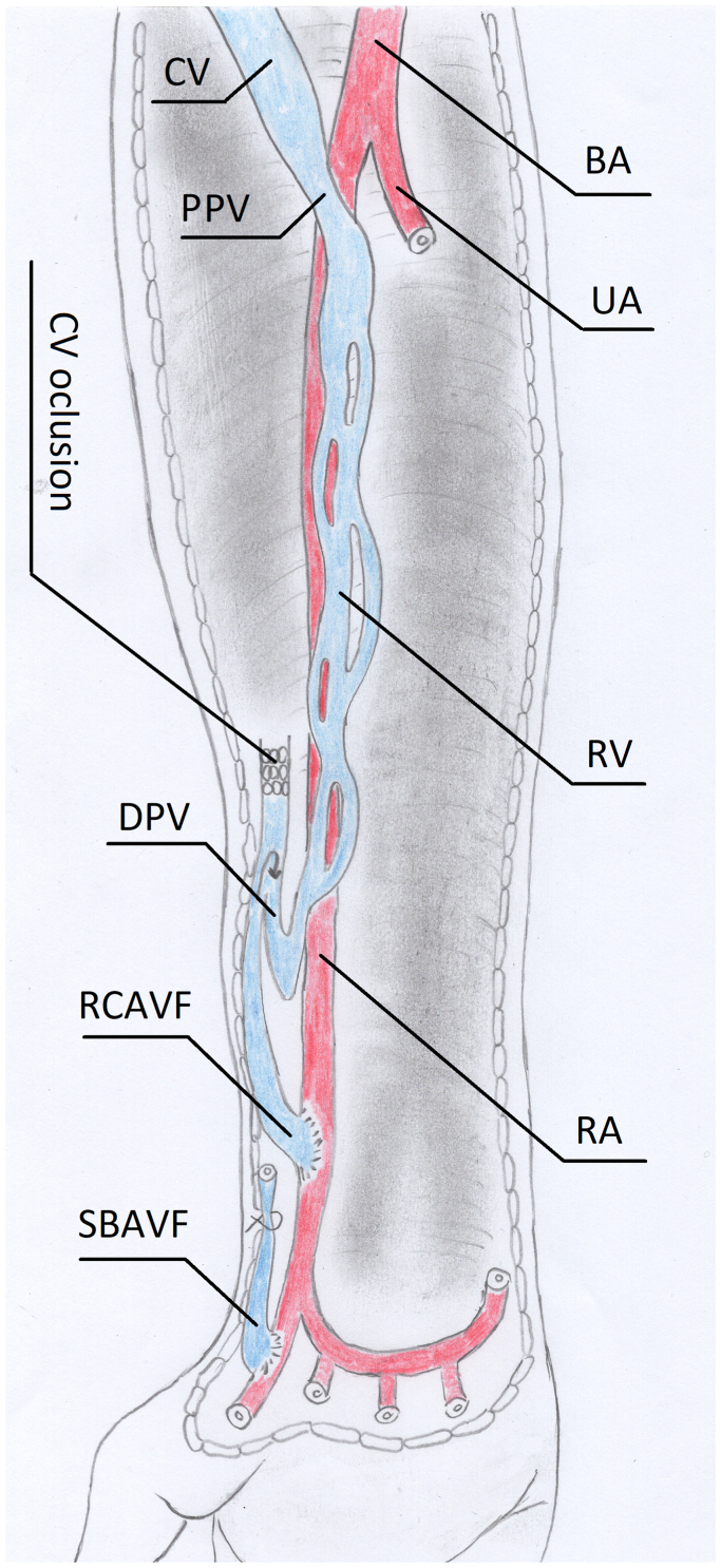 Fig 3