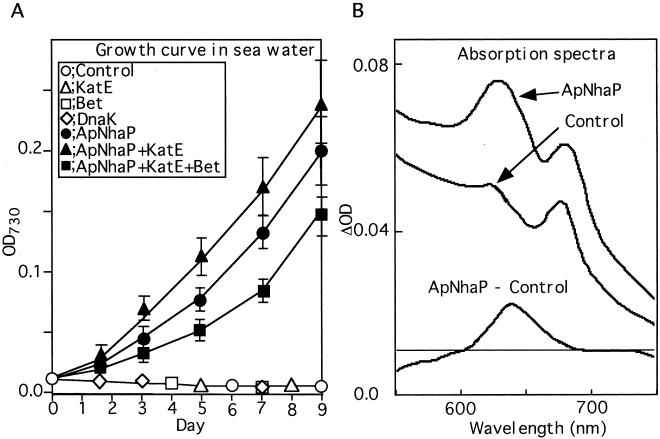 Figure 5