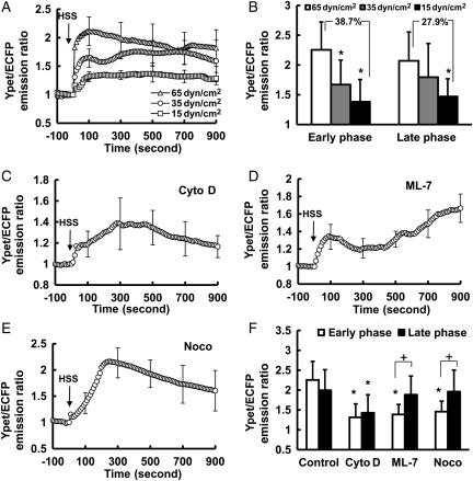 Figure 4