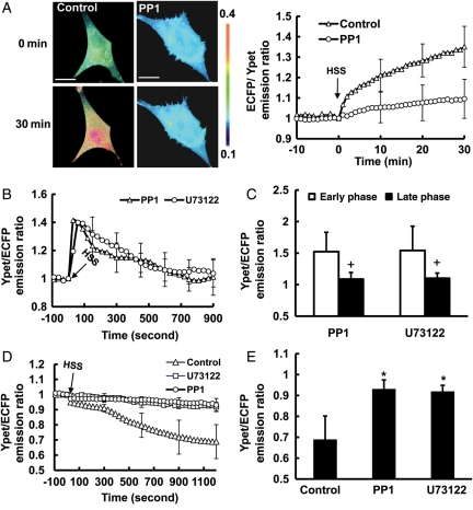 Figure 6