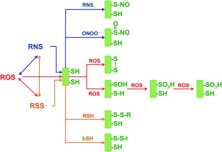 FIG. 3.