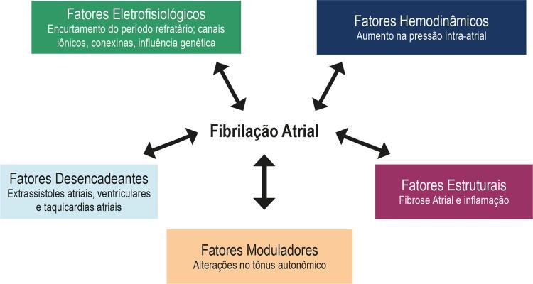 Figura 1