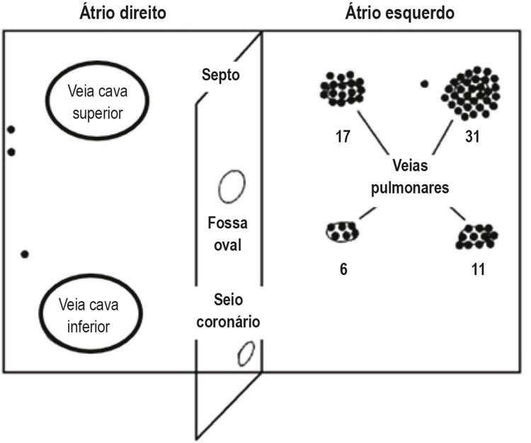 Figura 2