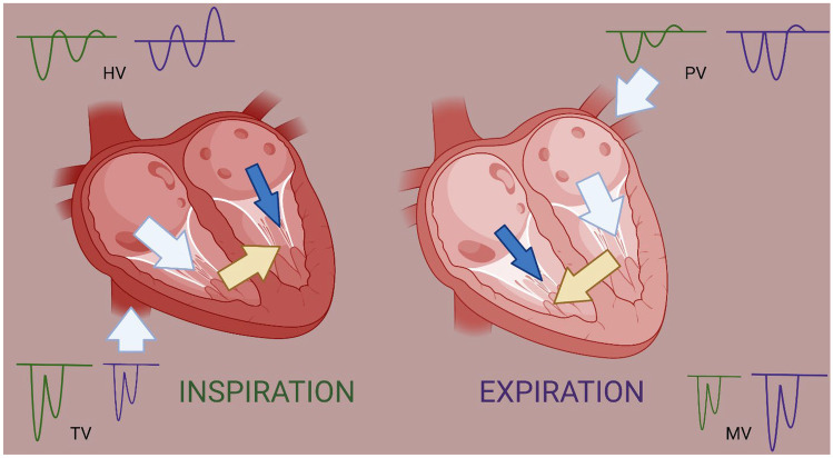 Fig. 3