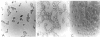 FIG. 7.