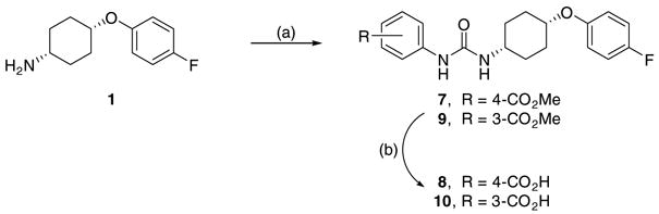 Scheme 2