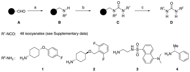 Scheme 1