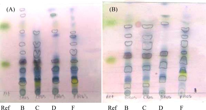 Figure 3.2