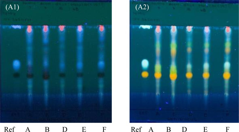 Figure 3.3