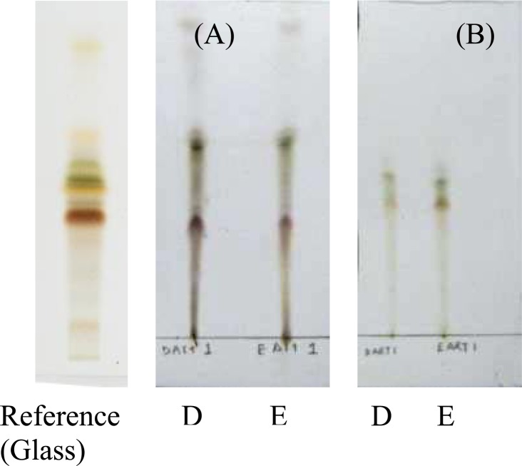 Figure 3.1