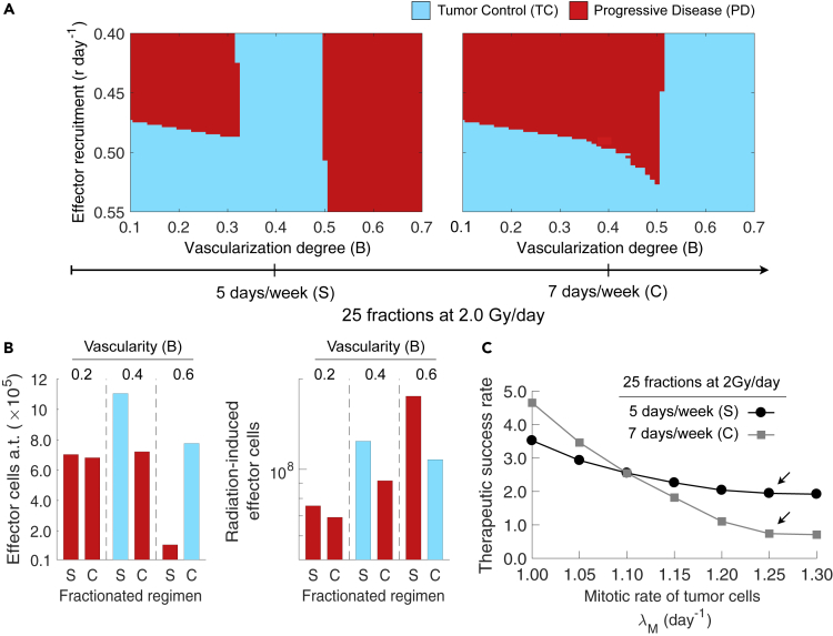 Figure 6