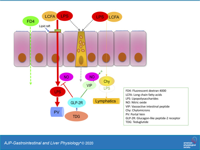 graphic file with name zh3006207790r001.jpg