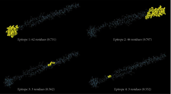 Figure 4