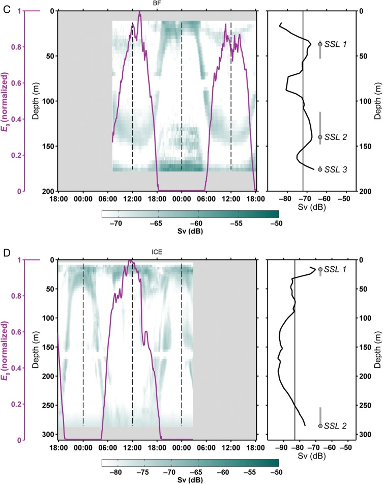 Fig. 2.